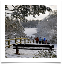 GOING SLEDGING - Des Hawley